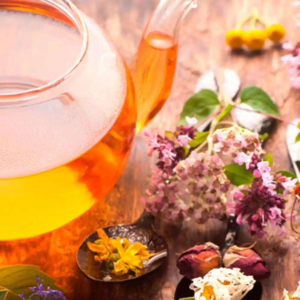 Herbal and dried flower tea for complementary and alternative medicine (CAM) | Scientific Consulting CAM Integrative Medicine