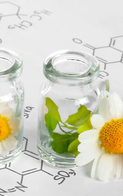 Glass jars with plants and flowers on chemical formulas, representing nutraceutical research and scientific consulting Glass jars with plants and flowers on chemical formulas, representing nutraceutical research and scientific consulting.