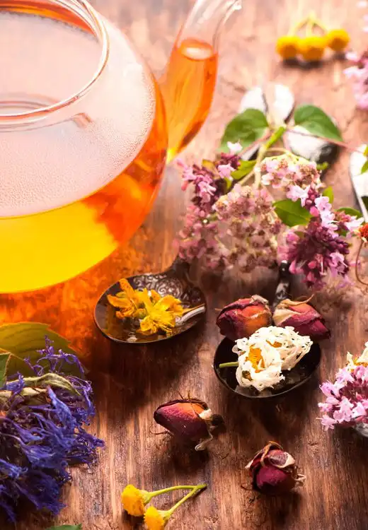 Herbal and dried flower tea for complementary and alternative medicine CAM Scientific Consulting CAM Integrative Medicine Herbal and dried flower tea for complementary and alternative medicine (CAM) | Scientific Consulting CAM Integrative Medicine